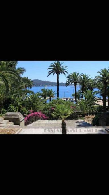 Le Dyonisos Et Piscine Daire La Seyne-sur-Mer Dış mekan fotoğraf