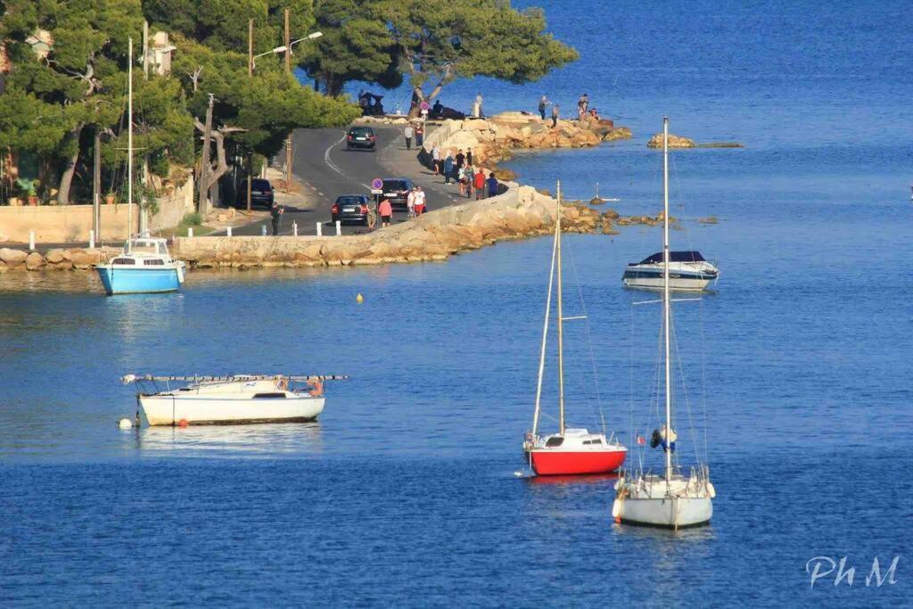 Le Dyonisos Et Piscine Daire La Seyne-sur-Mer Dış mekan fotoğraf